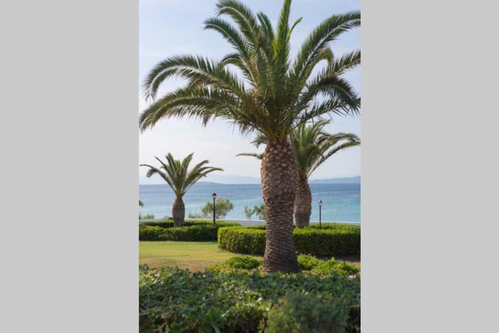 Palmaya Villa, Unique Seafront Experience Vagia  Dış mekan fotoğraf