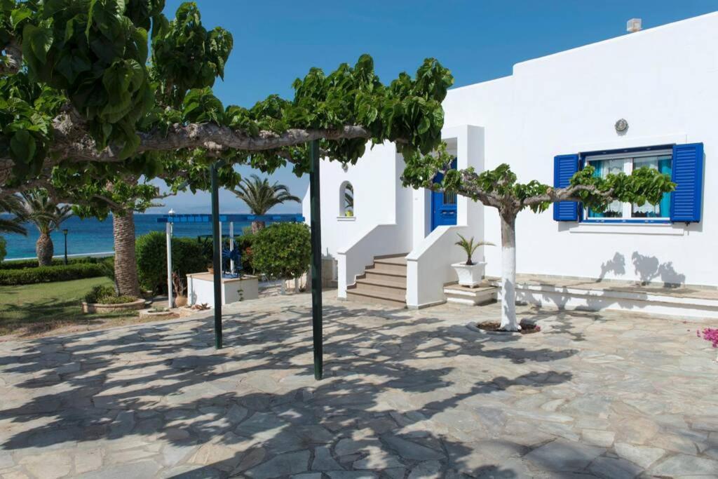 Palmaya Villa, Unique Seafront Experience Vagia  Dış mekan fotoğraf