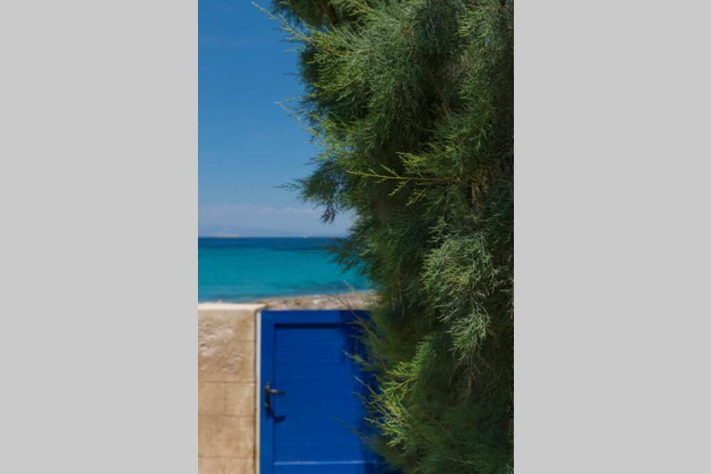 Palmaya Villa, Unique Seafront Experience Vagia  Dış mekan fotoğraf