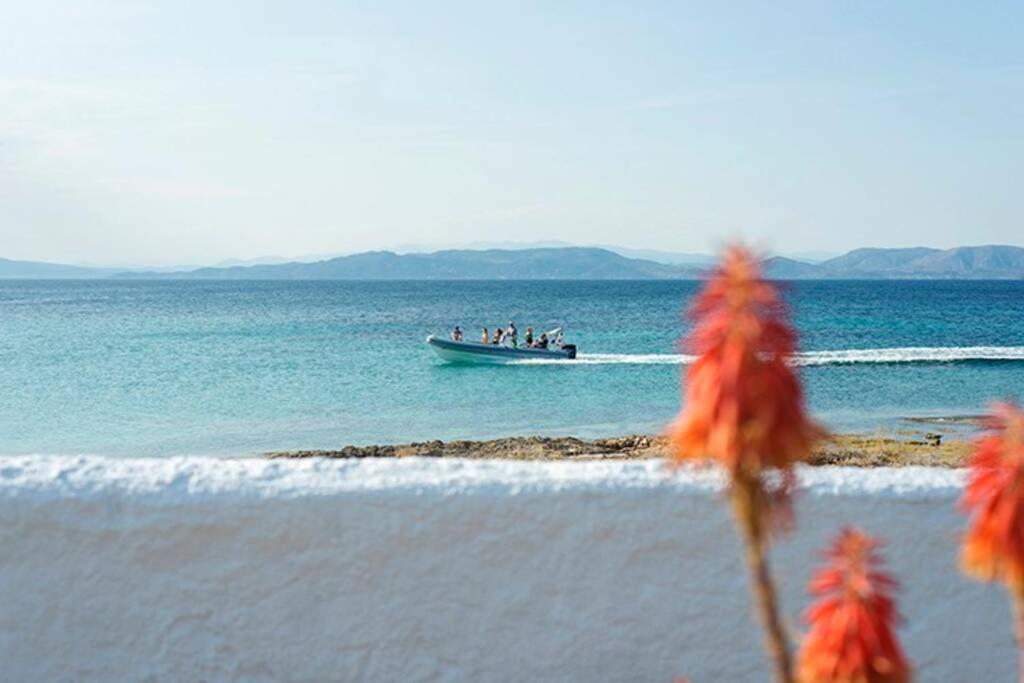 Palmaya Villa, Unique Seafront Experience Vagia  Dış mekan fotoğraf