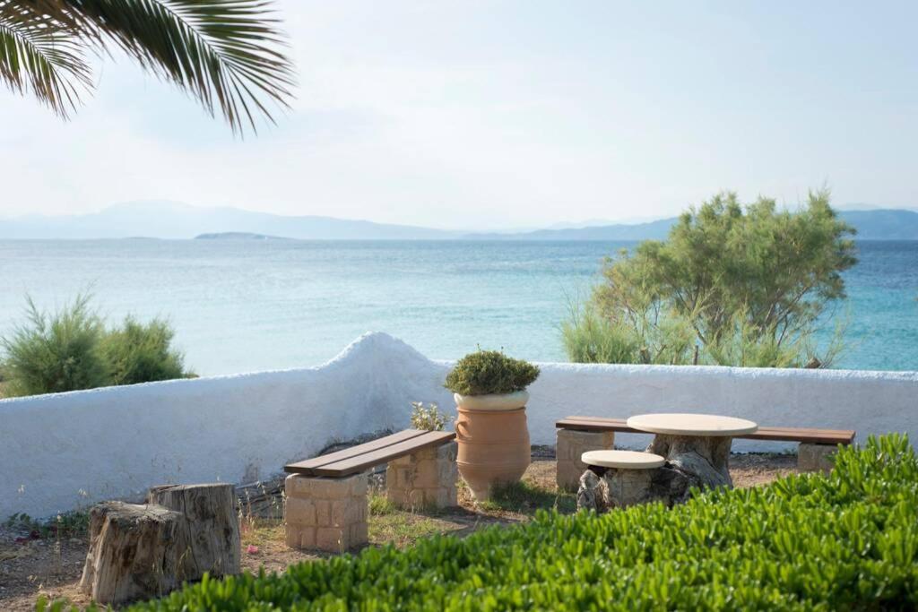 Palmaya Villa, Unique Seafront Experience Vagia  Dış mekan fotoğraf